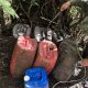Operativo de la Policía Metropolitana de la Sabana para garantizar la seguridad en Cundinamarca.