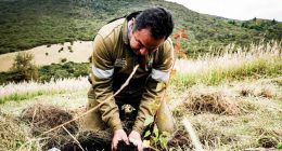 Jornada de siembra de árboles nativos para proteger el medio ambiente en Soacha y el páramo de Sumapaz.