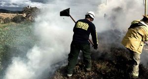 Cuerpos de socorro atendiendo un incendio de cobertura vegetal en Soacha.