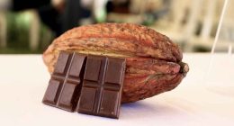 Productores de cacao de Cundinamarca participando en jornadas de capacitación técnica y socialización del convenio.