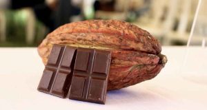 Productores de cacao de Cundinamarca participando en jornadas de capacitación técnica y socialización del convenio.