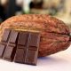 Productores de cacao de Cundinamarca participando en jornadas de capacitación técnica y socialización del convenio.