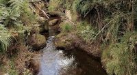 Paisaje natural de Cundinamarca y familias campesinas beneficiadas por la estrategia de conservación ambiental PSA.