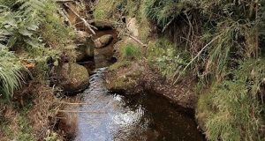 Paisaje natural de Cundinamarca y familias campesinas beneficiadas por la estrategia de conservación ambiental PSA.