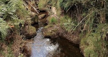 Paisaje natural de Cundinamarca y familias campesinas beneficiadas por la estrategia de conservación ambiental PSA.