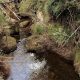 Paisaje natural de Cundinamarca y familias campesinas beneficiadas por la estrategia de conservación ambiental PSA.