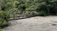 Evaluación técnica y trabajos de maquinaria en el sector del Puente Ocal ante el aumento de caudal en Guayabetal.