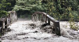 Acumulación de sedimentos y crecientes en el sector del Puente Ocal durante la atención de emergencia por lluvias en Guayabetal.