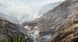 Despliegue de bomberos y vehículos de emergencia en la zona montañosa cercana a Indumil.