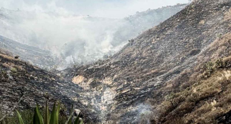 Despliegue de bomberos y vehículos de emergencia en la zona montañosa cercana a Indumil.
