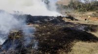 Cuerpos de bomberos y organismos de socorro realizando labores de extinción en una zona afectada por incendio forestal en Cundinamarca.