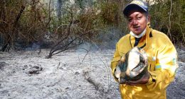 Ejemplar de fauna silvestre rescatado por los organismos de socorro durante la atención de un incendio forestal en Cundinamarca.