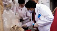 Equipo de la Secretaría de Salud de Soacha realizando inspecciones sanitarias y de control de alimentos en establecimientos comerciales.