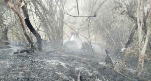 Labores de control y liquidación de incendio forestal adelantadas por organismos de socorro en Cundinamarca.