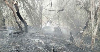 Labores de control y liquidación de incendio forestal adelantadas por organismos de socorro en Cundinamarca.