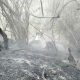 Labores de control y liquidación de incendio forestal adelantadas por organismos de socorro en Cundinamarca.