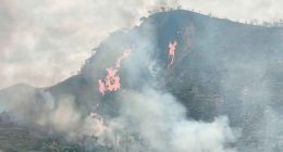 Labores de control y extinción de incendio forestal por parte de organismos de socorro en Cundinamarca.
