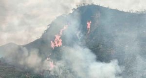 Labores de control y extinción de incendio forestal por parte de organismos de socorro en Cundinamarca.