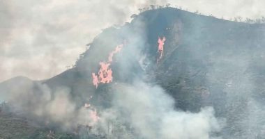 Labores de control y extinción de incendio forestal por parte de organismos de socorro en Cundinamarca.