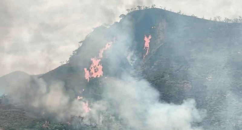Labores de control y extinción de incendio forestal por parte de organismos de socorro en Cundinamarca.